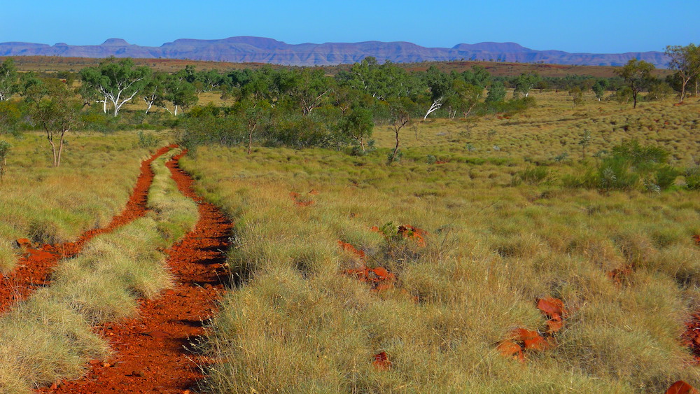 West Pilbara – NOVO Resources